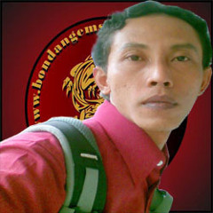 enu nugroho