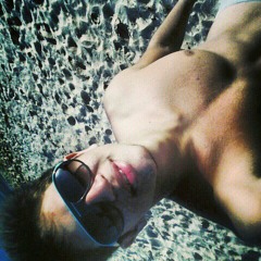 elvisbr13