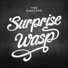 Surprise Wasp