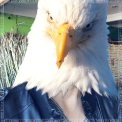 Adrian Devenir Apeiron