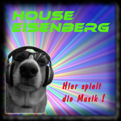 House Eisenberg