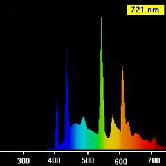 Spectral Waves