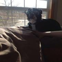 Judy Fulbright Sebestl