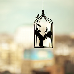شرابُ الحب ~ ♥