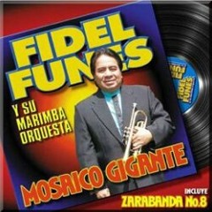 No Se Acaba El Amor Por Fidel Funes Y Los Miseria Cumbia Band