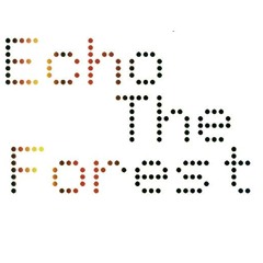 Echo The Forest