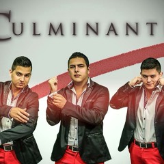 El Joven De Culiacan