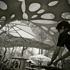 The Sauce (Wittika Net.)