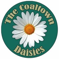 The Coaltown Daisies