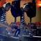 djwaynemendez