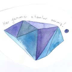 özlem özfitzgerald