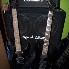 Pro-Pain - Foul Taste Of Freedom (Guitar and Bass Cover)