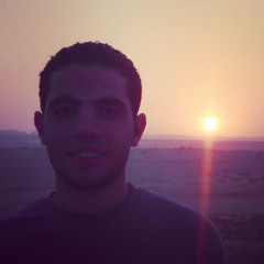 Saleh El-hawary