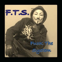 F.T.S. Fuck the system