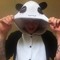 Panda Evans 1