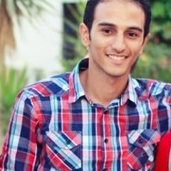 Abd El-Rahman El-Shafei