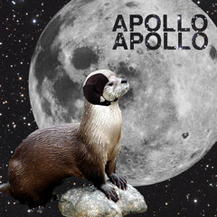 Apollo Apollo