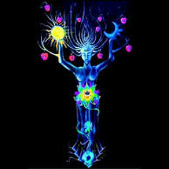 Psychedelic Mind (progressive Psymix 2014)