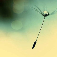 أغنية_مسلسل_الف_ليلة_و_ليلة__2015_-_حنان_ماضي_و_محمد_حسن_-_ناس_عايشين_(تتر_النهاية).mp3
