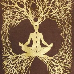Megnetic Manifestation