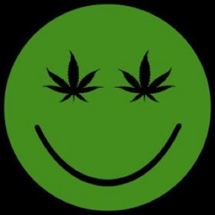 Fun D'Mental