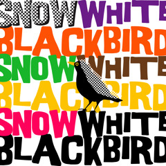 Snow White Blackbird