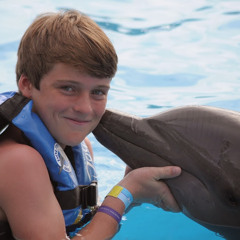 Will Feehan