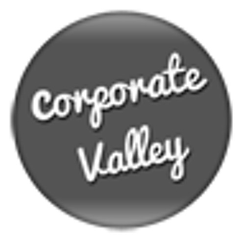 Corporate Valley’s avatar