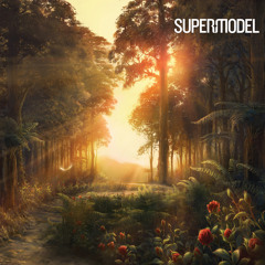 thesupermodelband