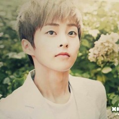 baozi bb