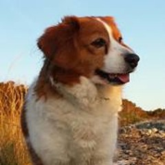 Monika Sørbotten Berg