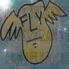 FUNKY FRESH FOREVER