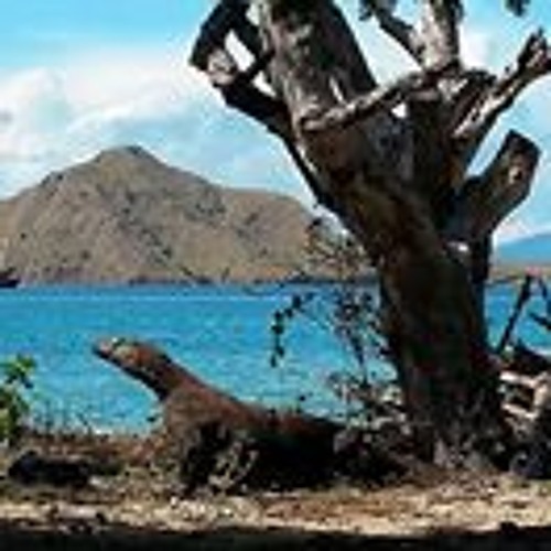 D Nox Beckers Confusion Original Mix