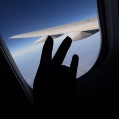 Flightz_VI