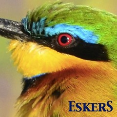 Eskers