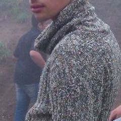 Amir Mohammad Shabanian