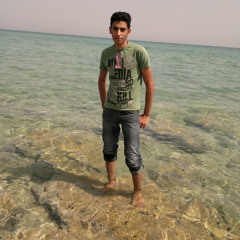 Shahin Mohamed