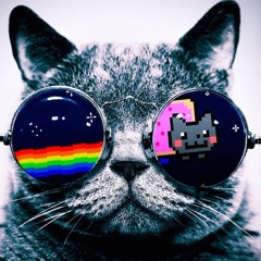 ANGELO THE PARTY CAT!!!