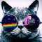ANGELO THE PARTY CAT!!!