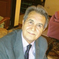 user194848427