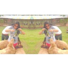 Sopanis Changchenkit