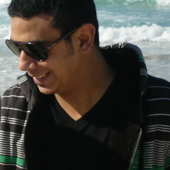 Ahmed Gamel 2