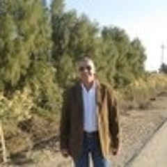 المضاف حديثا