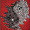 Chaos_Ohm