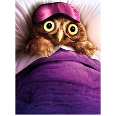 WideAwake
