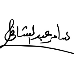 Samer Abdel Shafy
