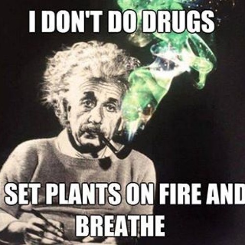 Эйнштейн курил марихуану the browser tor gydra