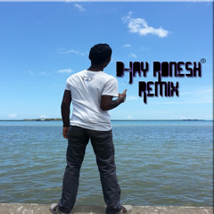 Party With The Bootnath Ft. RonesH Remix