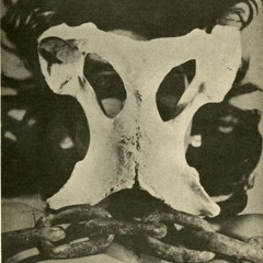 Estranhas Ocupações