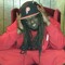 bukkshotz